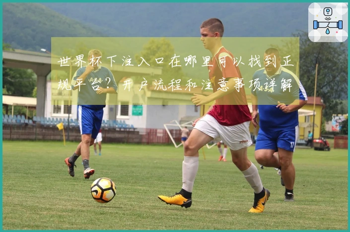 世界杯下注入口在哪里可以找到正规平台？开户流程和注意事项详解