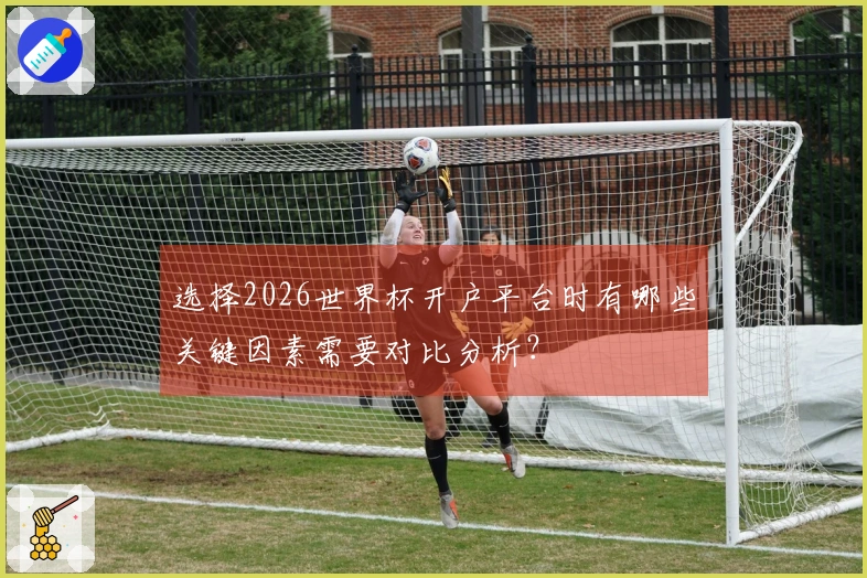选择2026世界杯开户平台时有哪些关键因素需要对比分析？