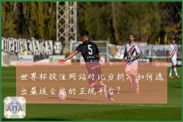 世界杯投注网站对比分析：如何选出最适合你的正规平台？